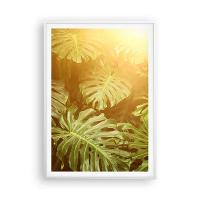 Produktbild von Gerahmtes Poster - Weißer Rahmen - Blätter Monstera Licht - 70x100 cm - Wand Bild - Wanddeko - Wandbilder - Kunstposter - Wandposter - Bilderrahmen - Bilder - Kunstdruck - P2WPA70x100-4540