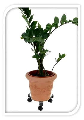 Produktbild von ROLLER Pflanzenroller - schwarz - Metall - Ø 25 cm