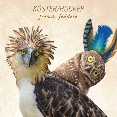 Obrázek produktu pro Köster & Hocker: Fremde Feddere - - (CD / Titel: H-P)
