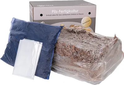 Artikelbild 1 von 'Pilzzuchtset Champignon Mix Probierset groß' aus der Kategorie Pilzzuchtset