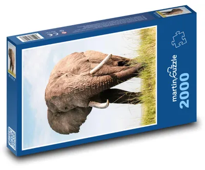 Zdjęcie produktu dla martinpuzzle - Puzzle 2000 - Słoń