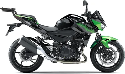 Immagine prodotto di Portapacchi per bauletto moto SHAD TOP MASTER