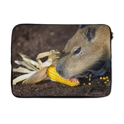 Produktbild von MuchoWow® Laptop Hülle 13 Zoll Eine Nahaufnahme eines Wasserschweins beim Fressen Laptoptasche - Laptophülle - Sleeve - Rundumschutz