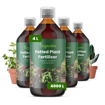 Produktbild von Topfpflanzen Flüssigdünger 4x1L – 3-4-3 NPK – Flüssig-Pflanzendünger für Topfpflanzen – Organifer