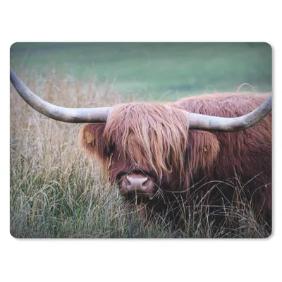 Produktbild von MuchoWow® Mauspad Mousepad Schottischer Highlander - Hörner - Gras 40x30 cm - Mousepads - Maus Mat - Pad - Mausunterlage - Anti Rutsch