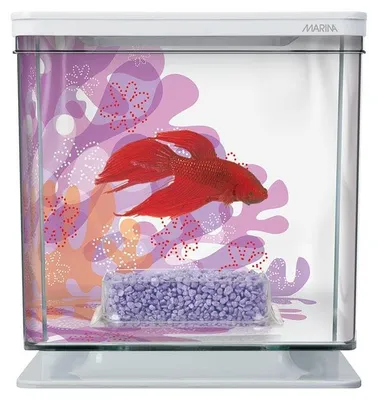 Aquarium für Kampffische (Betta), 2 Liter, Komplettset