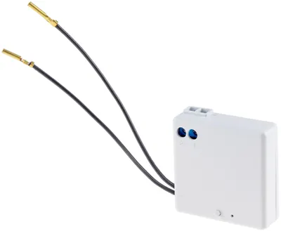 Produktbild von Funk-Empfänger für Pilota Casa 2-Draht, max. 300W
