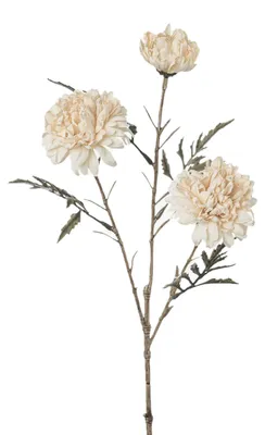 Produktbild von Kunstblume Trockenblume Tageteszweig, 40cm Studentenblume, creme