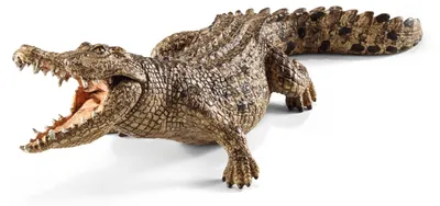 Produktbild von schleich WILD LIFE Krokodil, 3 Jahr(e), Safari, Wild animals / adventure toys, Mehrfarbig, Kunststoff, 1 Stück(e)
