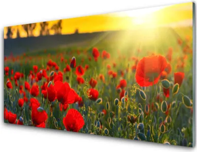 Produktbild von Küchenrückwand aus Glas 100x50cm Spritzschutz Wiese Blumen Natur