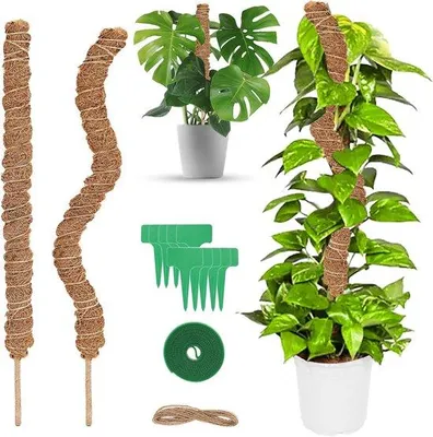 Produktbild von Famanu Pflanzenstützen Set – 2 flexible Moosstäbe 60 cm mit Zubehör