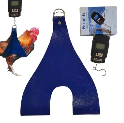 Productafbeelding van Transportband voor kippen en kleine dieren. Weegschalenhouder