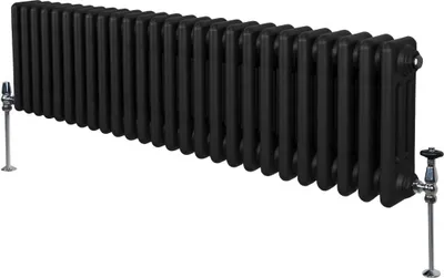 Immagine prodotto di Radiatore tradizionale a 3 colonne - 300 x 1192 mm - Nero