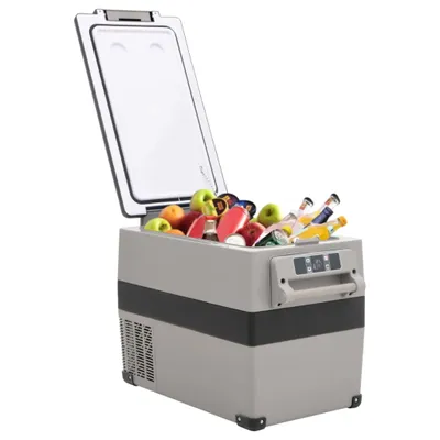 Immagine prodotto di vidaXL Contenitore frigorifero con maniglia di trasporto Grigio 35L PP & PE