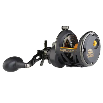Produktbild von Penn Rolle Squall II Drag Star 25N Rechtshand
