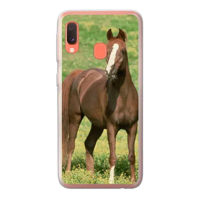 Produktbild von MuchoWow® Handyhülle Schutzhülle Hülle für Samsung Galaxy A20e Pferde - Gras - Braun Silikon Softcase Handy Hülle - Abdeckung