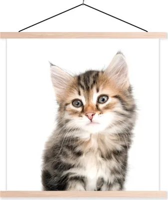 Produktbild von MuchoWow® Textilposter Kätzchen - Weiß - Nase - Mädchen - Kinder - Jungen - Kinder 60x60 cm mit holzfarbenen Rahmen - Wanddekoration