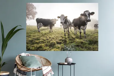 Produktbild von MuchoWow® - Selbstklebend - Fototapeten