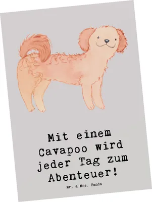 Produktbild von Mr. & Mrs. Panda Postkarte Cavapoo Abenteuer - Grau Pastell - Geschenk, Freundlichkeit, Mischlingshund, freundliche Hunde, Fotokarte, Postkarten, Hunderasse, Grußkarte