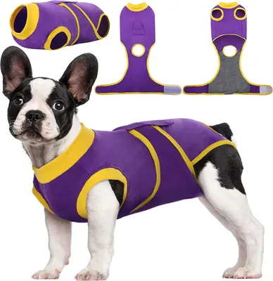 Produktbild von Hundebody Nach Op, Hundebody Nach Kastration Rüde Hündin,Hundebody Nach Op Hündin, Atmungsaktiv Body Für Hunde Nach Op,Leckschutz Hund, Anti-Wundlecken Op Body Hund, Lila XS