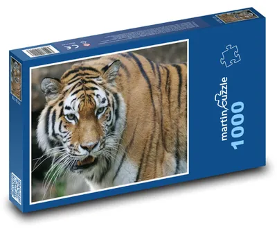 Obrázok produktu pre Puzzle 1000 Neskrotený tiger - martinpuzzle