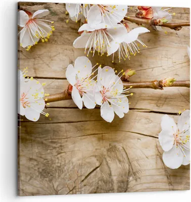 Produktbild von Bild auf Leinwand - Leinwandbild - Blume Stängel - 50x50cm - Wand Bild - Wanddeko - Wandbilder - Leinwanddruck - Bilder - Kunstdruck - Wanddekoration - Leinwand bilder - Wandkunst - AC50x50-3537
