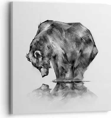 Produktbild von Bild auf Leinwand - Leinwandbild - Bär Tier - 30x30cm - Wand Bild - Wanddeko - Wandbilder - Leinwanddruck - Bilder - Kunstdruck - Wanddekoration - Leinwand bilder - Wandkunst - AC30x30-3921