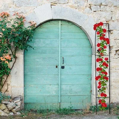 Immagine prodotto di Supporto per piante rampicanti Famanu – Nero con decorazioni floreali