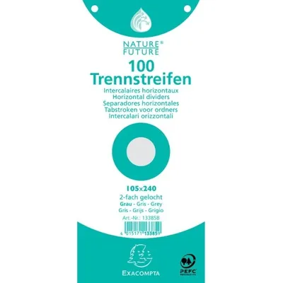 Immagine prodotto di EXACOMPTA 13385B EXACOMPTA Trennstreifen Premium, 105 x 240 mm, grau