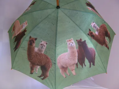 Produktbild von 1 Regenschirm Alpakas, Automatikschirm Stockschirm Schirm Schirme Alpaka Lama Tier