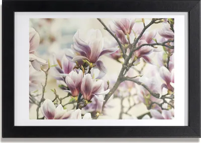 Produktbild von Bild 30x20 MDF-Rahmen, Wandkunst Magnolie