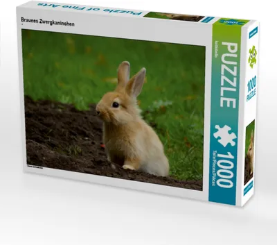 Produktbild von Calvendo Braunes Zwergkaninchen 1000 Teile Puzzle quer 640x480mm, CALVENDO; 7304534