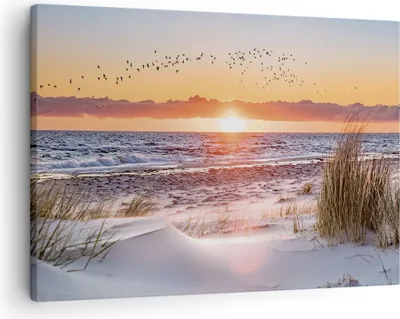 Produktbild von Bild auf Leinwand - Leinwandbild - Einteilig - Sonne Strand Vögel - 70x50cm - Wand Bild - Wanddeko - Wandbilder - Leinwanddruck - Bilder - Wanddekoration - Leinwand bilder - Wandbild - AA70x50-4727