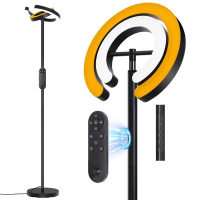A floor lamp and its remote control are shown against a white background.