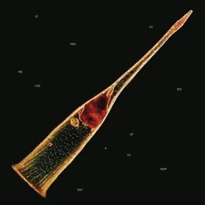 Obrázek produktu pro Leprous: Melodies Of Atonement (Limited Edition)
