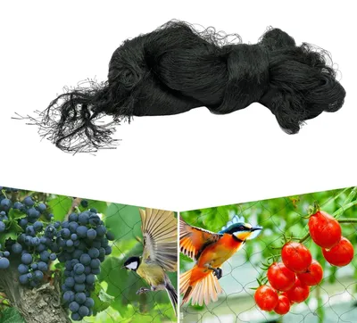 Obrázek produktu pro Síť proti ptákům – zahradní síť – silný nylon 30 x 15 m – ochrana ovocných stromů, rostlin a zeleniny – černá