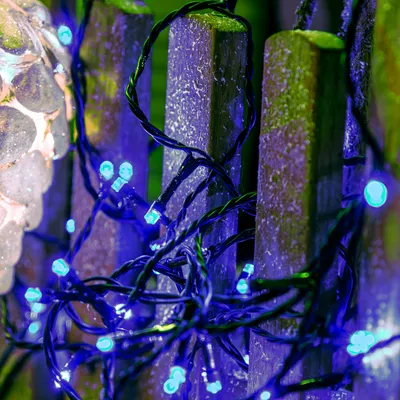 Produktbild von Hellum LED Lichterkette außen 120 blaue LEDs, 11,9m, grün Kabel 561241
