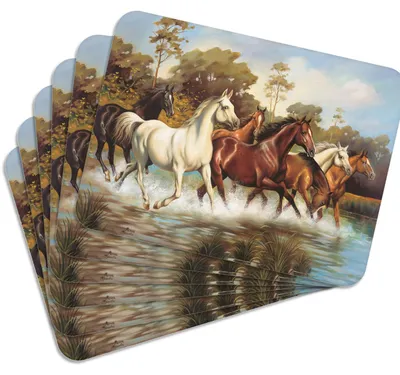 Produktbild von MG Design Set aus 6 Kork-Platzsets - Taboon - 30 x 40 cm - hitzebeständig & abwischbar, mit Korkrückseite