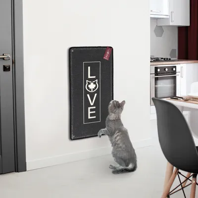 Produktbild von Kratzteppich für Katzen · anthrazit · 80 x 40 cm · mit Wandbefestigung