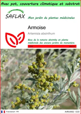 Image de SAFLAX Garden to go - Armoise - 500 graines - Artemisia