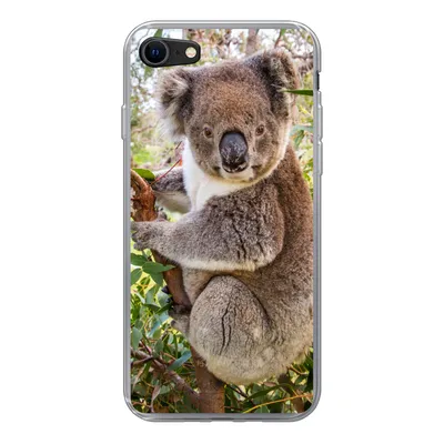 Produktbild von MuchoWow® Handyhülle Schutzhülle Hülle für iPhone 8 Koala - Blätter - Kinder - Jungen - Mädchen Silikon Softcase Handy Hülle - Schutzhaube