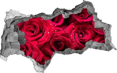 Produktbild von Selbstklebender Loch-3D-Aufkleber 95x73 cm Tropfen auf Rosen