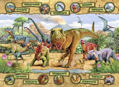 Immagine prodotto di puzzle da 150 pezzi di specie di dinosauri con selezionatore di pezzi NATHAN - da 7 anni in su