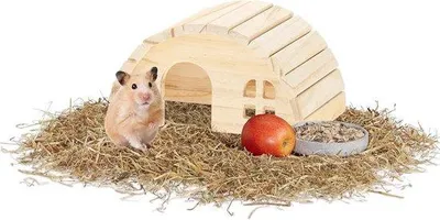 Image de Maisonnette en bois pour hamsters nains et souris, 10 x 18,5 x 13 cm, sans fond, couleur naturelle
