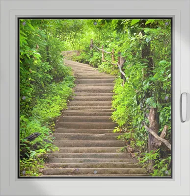 Produktbild von Wallario Lichtschutzbild, Dekorativer Sichtschutz Sonnenschutz 96 x 93 cm mit Motiv: Steintreppe im Wald - Verdunklung ohne Bohren