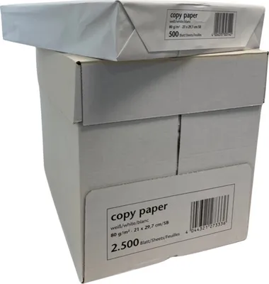 Produktbild von 2.500 Blatt Kopierpapier easy NOTES / CO2-neutral DIN A4 80g/m² weiß