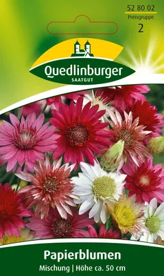 Produktbild von Papierblume Mischung | Blumensamen von Quedlinburger