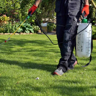 Produktbild von Drucksprüher 8 Liter mit verstellbarer Düse, Tragegurt und arretierbarem Hebel