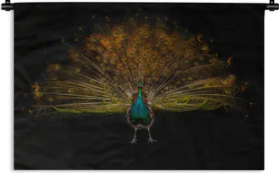 Produktbild von MuchoWow® Wandteppich Wandbehang Pfau - Federn - Nacht 150x100 cm Tapisserie Dekoration Wandtuch - Waschbar - Tapisserien - Wand-Decke