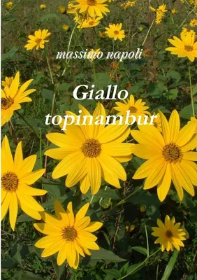 Produktbild von Giallo topinambur